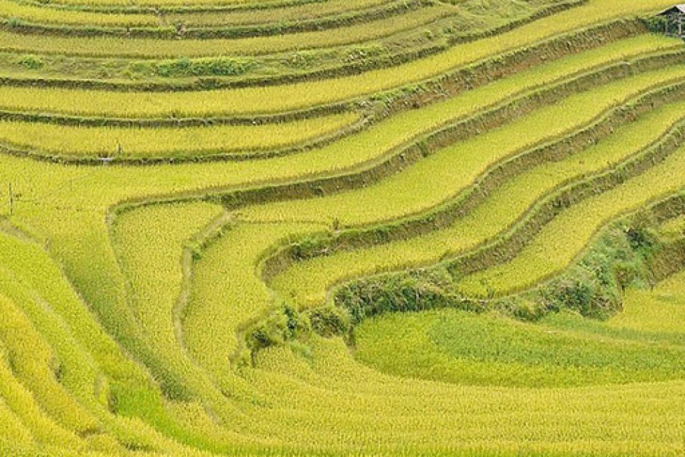 Longsheng- Community Immersion