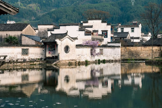 Anhui Village Immersion and Service