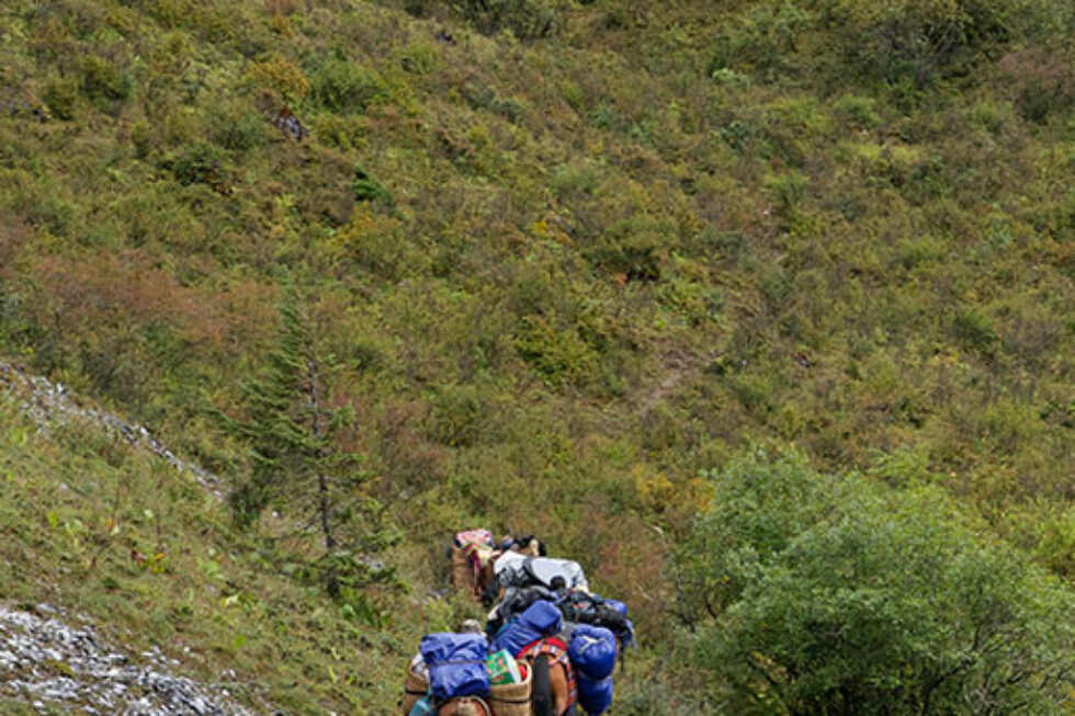 Lijiang & Shaxi- Journeys of the Tea Horse Road