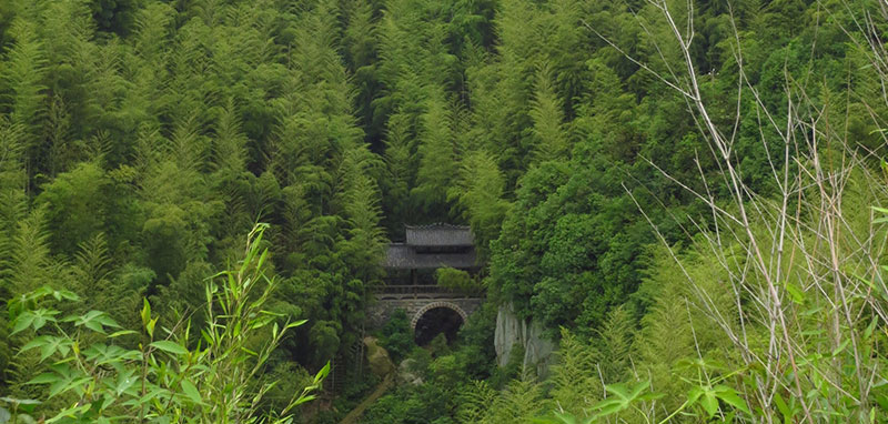 /wp-content/uploads/2025/05/Moganshan-Hiking-DofE-Adventurous-Journey-3.jpg