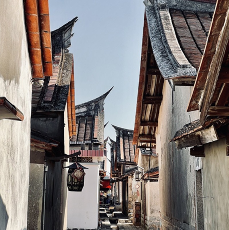 /wp-content/uploads/2025/05/Program-Details-Zhangzhou-Sustainable-Farming-and-Food-Security-Photo-5.jpg
