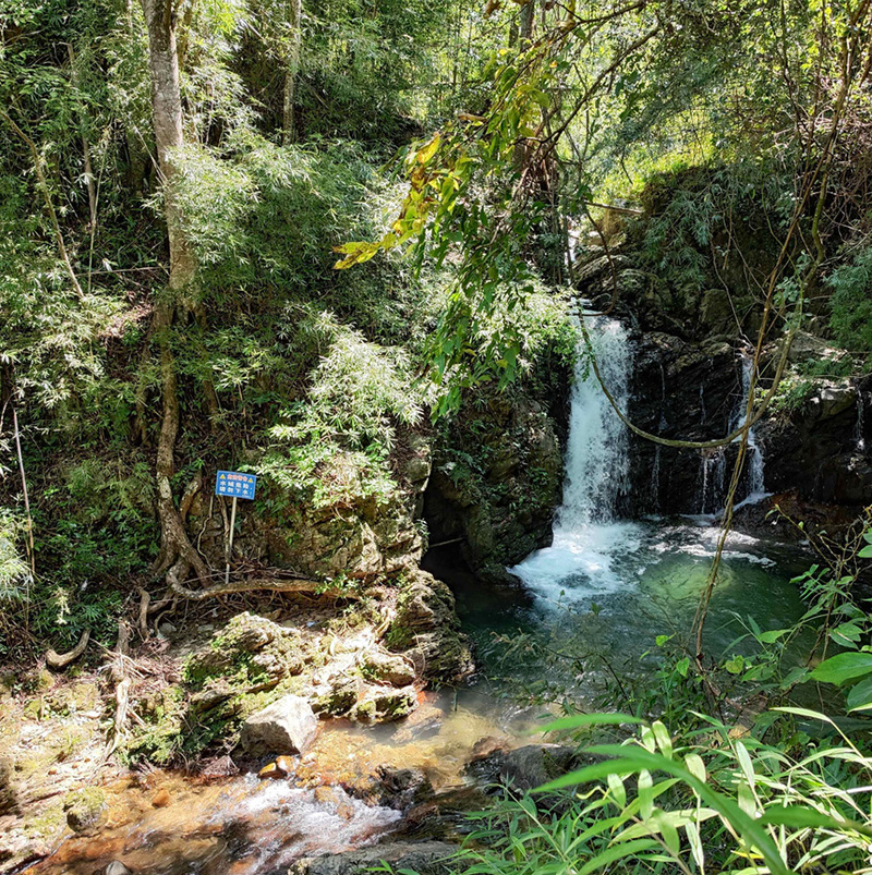 /wp-content/uploads/2025/05/Program-details-Conghua-Hike-Photo-2.jpg
