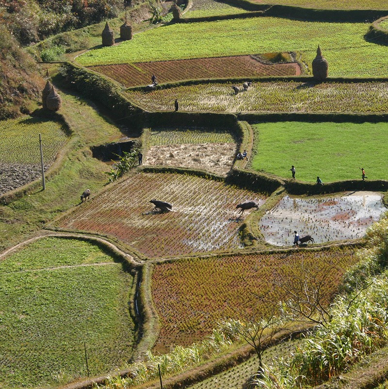 /wp-content/uploads/2025/05/Program-details-Guizhou-CGCS-Diploma-in-International-Volunteering-Highlight-Photo-6.jpg