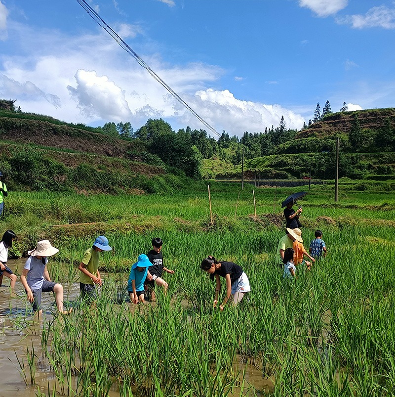 /wp-content/uploads/2025/05/Program-details-Guizhou-CGCS-Diploma-in-International-Volunteering-Highlight-Photo-7-1.jpg