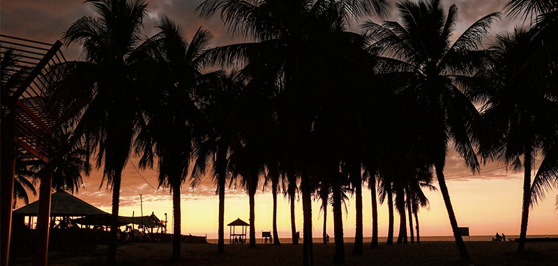 /wp-content/uploads/2025/05/Program-details-Hainan-Hike-Photo-2.jpg