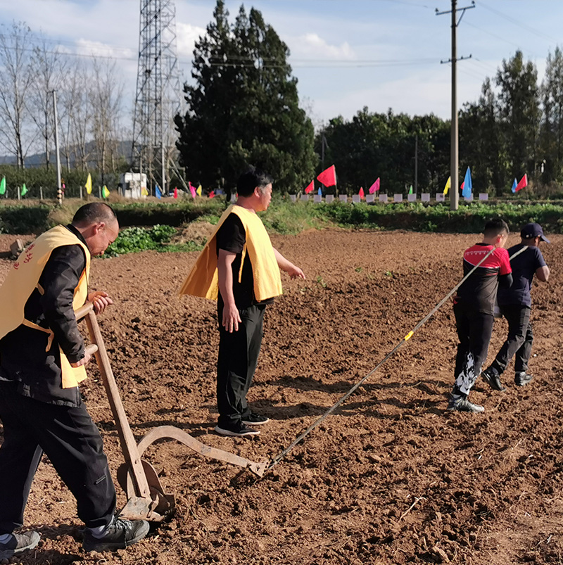 /wp-content/uploads/2025/05/Program-details-Luoyang-Dengfeng-The-Cradle-of-Chinese-Civilization-Photo-2.jpg