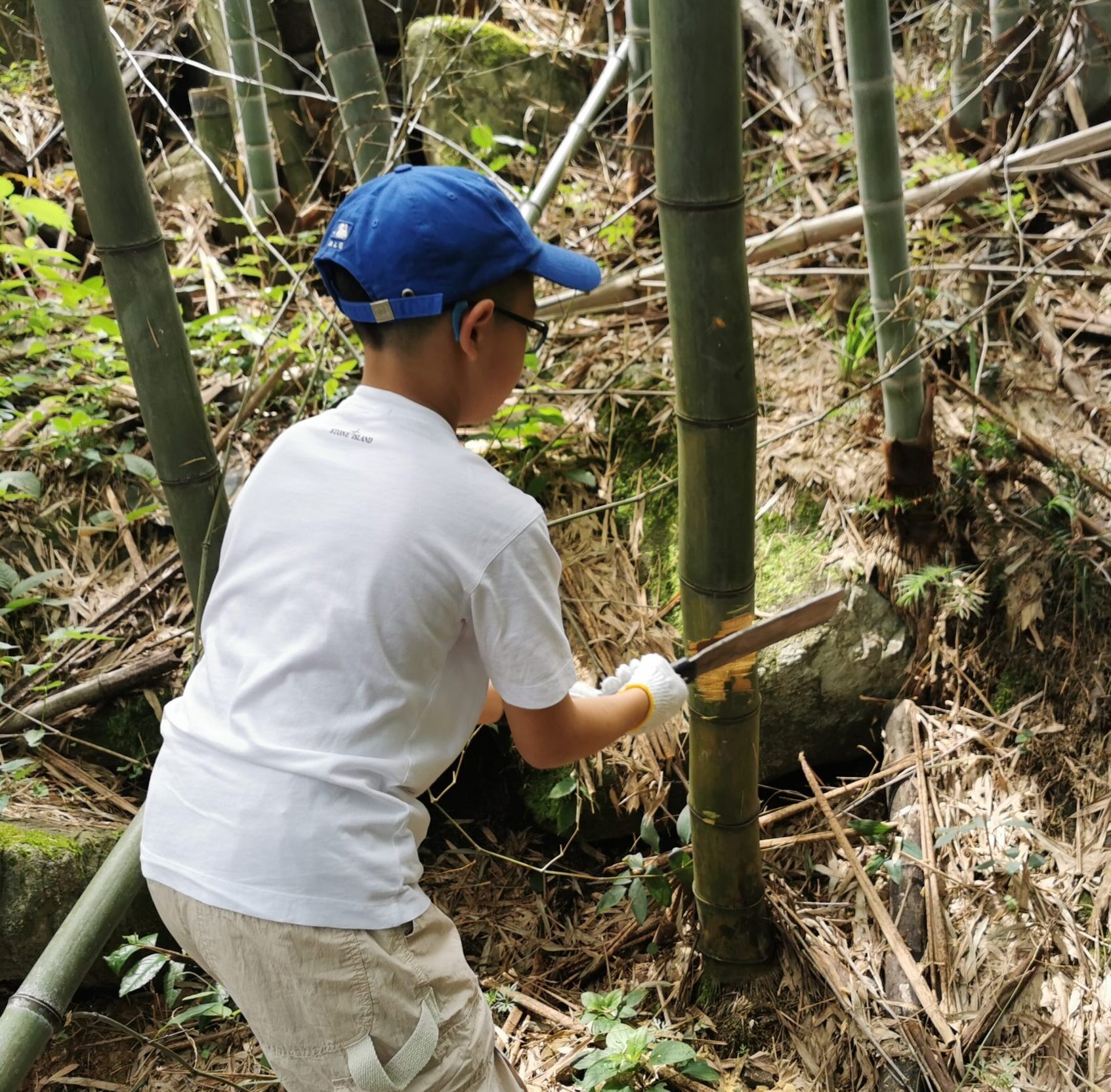 /wp-content/uploads/2025/05/Program-details-Moganshan-Wilderness-Survival-Header-Photo-scaled-e1747209472719.jpeg