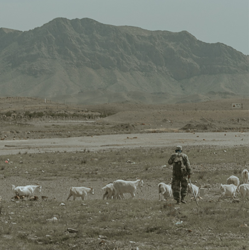 /wp-content/uploads/2025/05/Program-details-Ningxia-The-Crossroad-of-Cultures-Photo-1.jpg