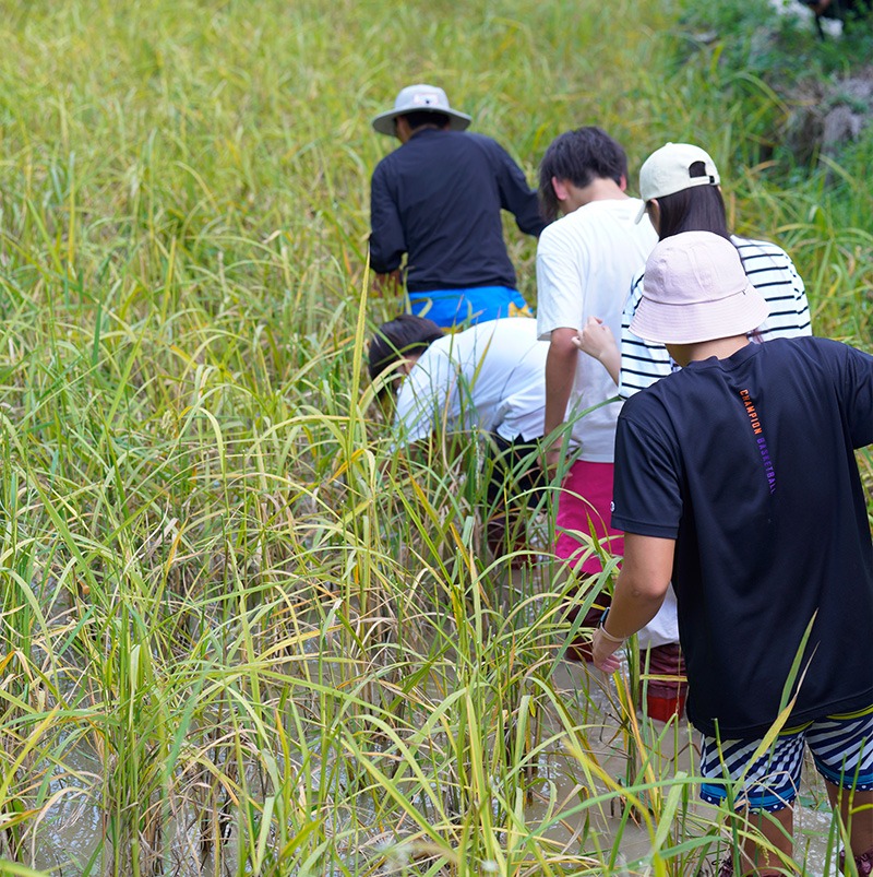 /wp-content/uploads/2025/05/Program-details-Rongjiang-Community-Immersion-Photo-4.jpg