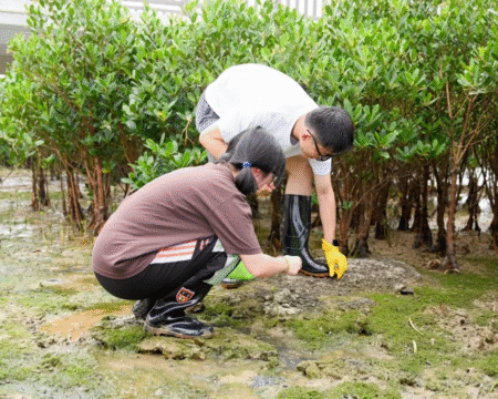 Exploring Nature’s Classroom Through Sustainable Educational Tours