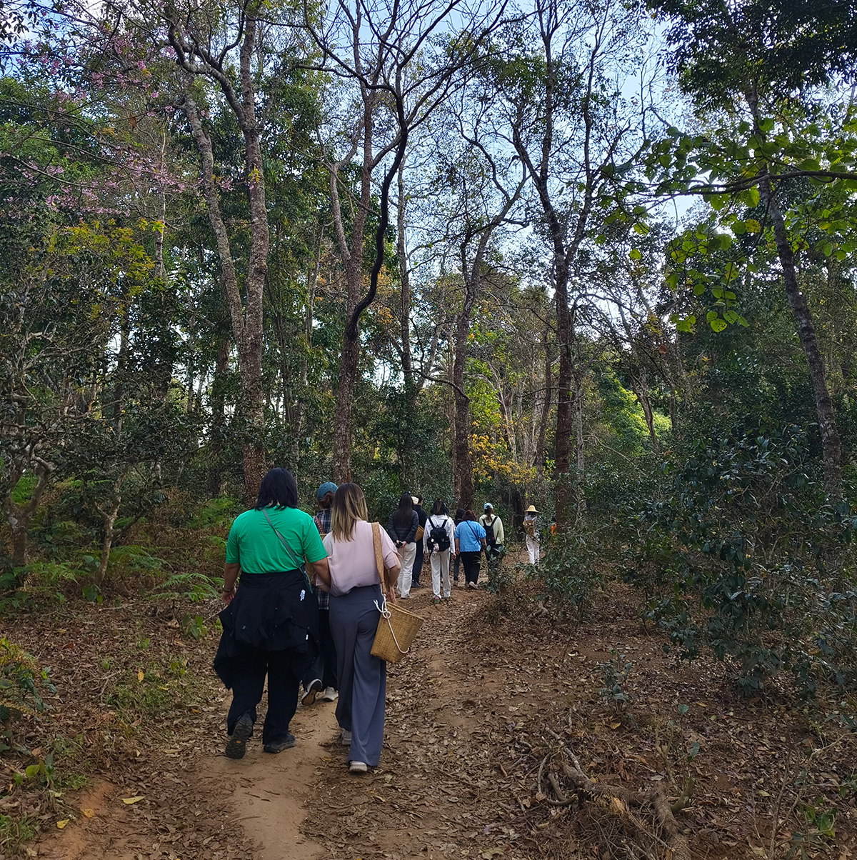 /wp-content/uploads/2025/05/Xishuangbanna-Traditions-of-the-Rainforest2.jpg