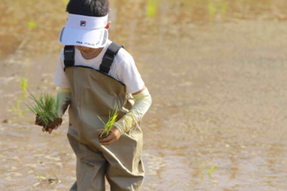 Zhangzhou- Sustainable Farming and Food Security