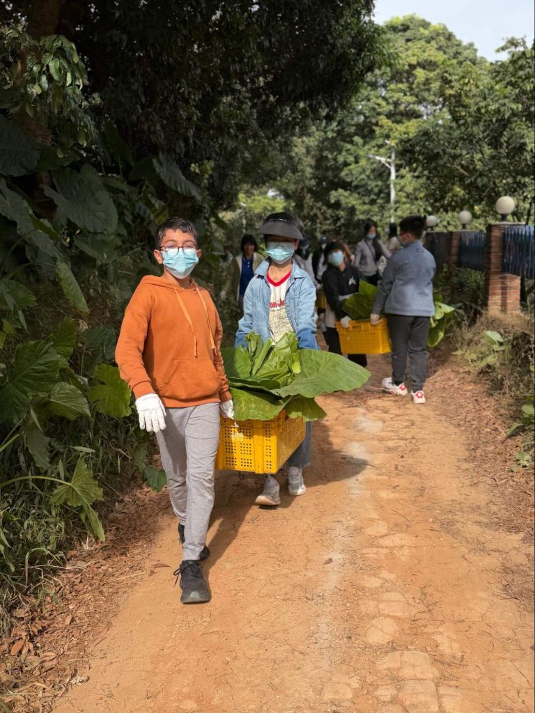 Children carrying vegetables during one of the trip activities