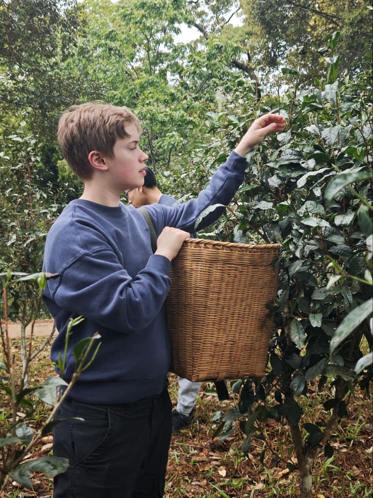 Students conducting field observation in Yunnan to study biodiversity and ecosystems.